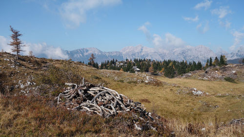 Panoramic view of field against sky