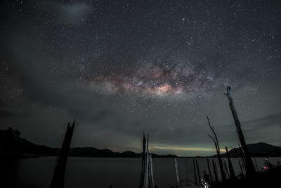 Dead trees at lakeshore against sky during night