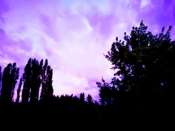 Low angle view of silhouette trees against sky at sunset