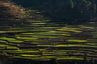 Kausani is a hill station situated in bageshwar district in the state of uttrakhand india.