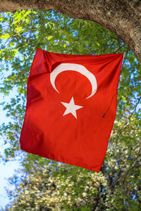 Low angle view of red flag on tree