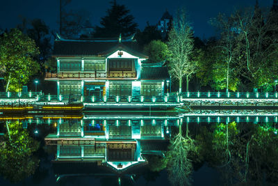 Reflection of trees in swimming pool at night