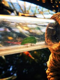 Close-up of reflection on glass window