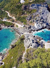 High angle view of trees on beach