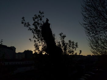 Low angle view of silhouette trees against clear sky