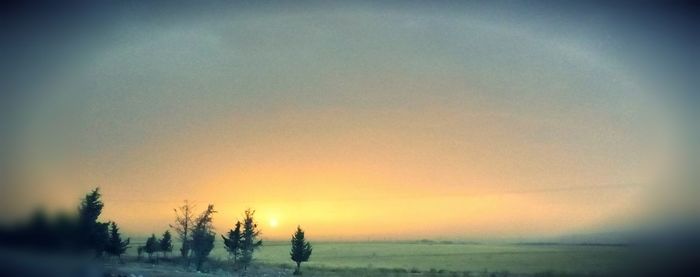 Silhouette trees on landscape against sky during sunset