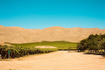 Scenic view of desert against clear blue sky