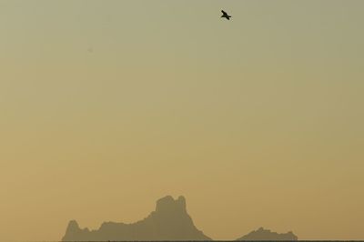 Silhouette of bird flying against clear sky
