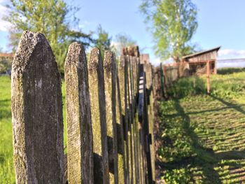 Close-up of wood against sky