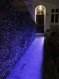 Illuminated walkway at night