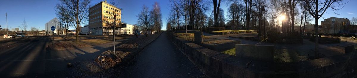 Panoramic view of trees against sky