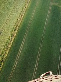 Aerial view of green farm field from hot air balloon