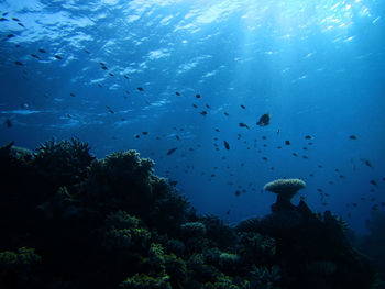 Scenic view of calm sea