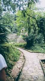 Dirt road amidst trees