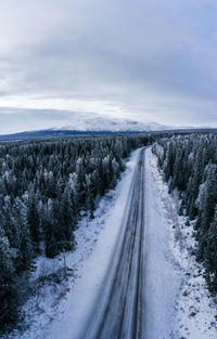 Road amidst snow covered plants against sky