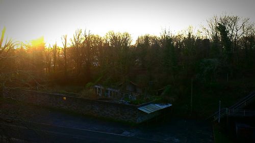 View of trees at sunset