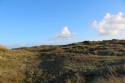 Scenic view of landscape against blue sky