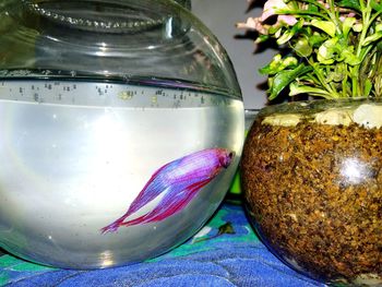 Close-up of glass jar on table