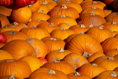 Full frame shot of pumpkins for sale at market stall