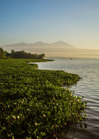 Scenic view of sea against clear sky