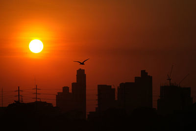 Silhouette of birds at sunset