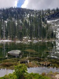 Scenic view of lake by trees against sky