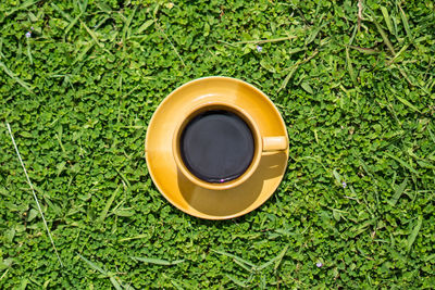 Directly above shot of coffee cup in plate on grassy field