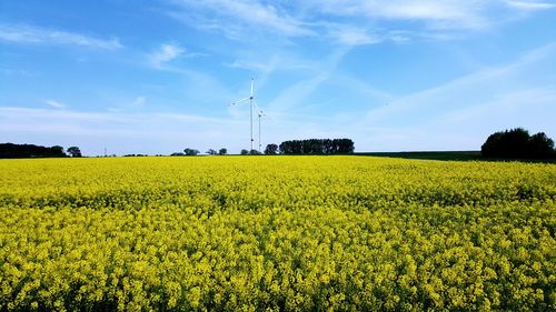 View of field against sky