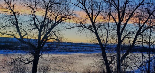 Silhouette bare trees by lake against sky during sunset