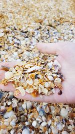 Close-up of hand holding pebbles