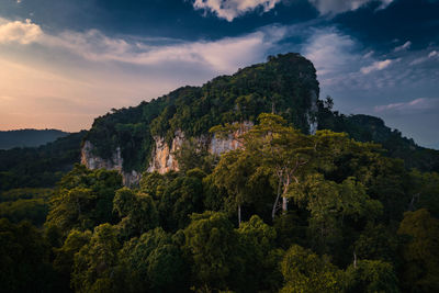 Low angle view of trees and mountains against sky