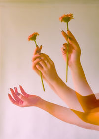 Cropped hands of woman holding flower