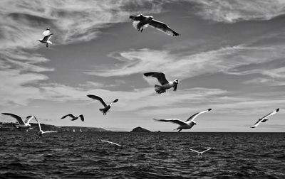 Seagulls flying over sea against sky