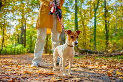 Portrait of dog running on field