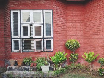 Potted plants on window of house