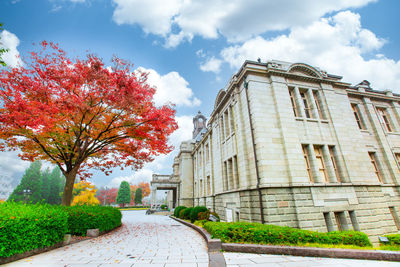 Street amidst trees and buildings against sky