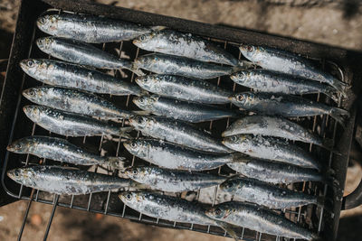 High angle view of fish on the grill