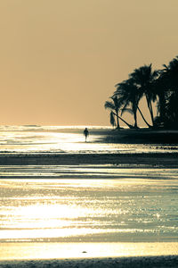 Silhouette palm trees on beach against clear sky at sunset