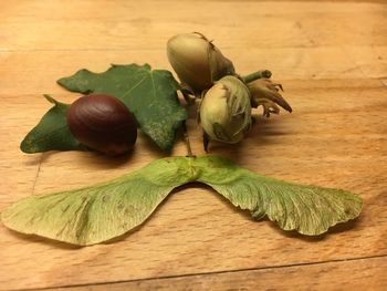 High angle view of fruits and leaves on table