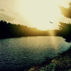 Scenic view of calm lake at sunset