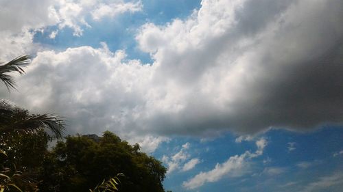 Low angle view of trees against cloudy sky