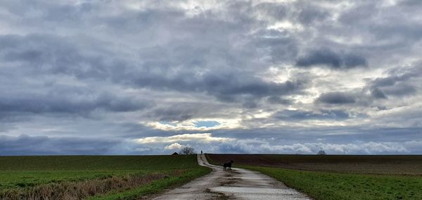 Scenic view of road amidst field against sky