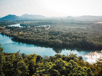 Aerial top view forest, texture of mangrove forest view from above nature mountain background