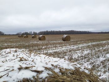 Hay bales on field against sky during winter