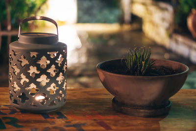 Close-up of potted plant on table