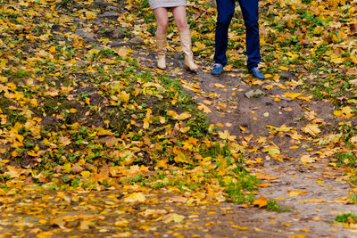 Low section of friends standing by autumn leaves