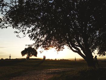 Silhouette trees on field against sky during sunset