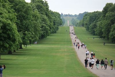 People walking on road