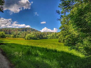 Scenic view of land against sky