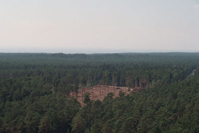 High angle view of trees on landscape against sky